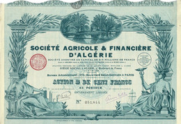- Titre De 1928 - Société  Agricole & Financière D' Algérie  - Déco - Africa