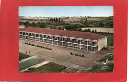 65----En Avion Au-dessus De CASTELNAU-RIVIERE-BASSE----Le Préventorium---peu Courante--voir 2 Scans - Castelnau Riviere Basse