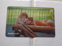 Brazil Phonecard - Brasilien