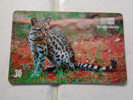 Brazil Phonecard - Brasilien