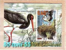 2000 Fauna   BIRDS - Stork S/S- Used/oblitere (O) BULGARIA /  Bulgarie - Gebraucht