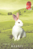 HONGKONG - POSTAL STATIONERY YEAR OF RABBIT 2011? Unc / ZB48 - Postal Stationery