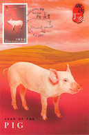 HONGKONG - MC YEAR OF PIG 2007  / ZB49 - Maximumkaarten