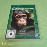Schimpansen - Documentari