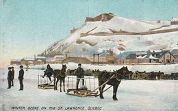 Scene Hivernale Sur Le Fleuve Saint-Laurent, Quebec Winter Scene On The St. Lawrence - Québec - Les Rivières