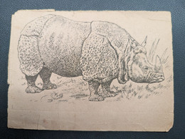 ILLUSTRATEUR  TUCK : PAINTBOX SERIES - RHINOCEROS - Rinoceronte