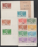 ERINNOPHILIE - PHILATELIE - STRASBOURG / 1963/68/69/71/76/78 A 1985 - 13 VIGNETTES SUR 5 CARTES DE MEMBRE (ref 7770) - Lettere