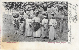 JAMAIQUE -  1903 -  GREETINGS FROM JAMAICA -  BANANA CARRIERS - Jamaica