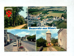 Carte Beauvoir  Vues Flamme  Zoo  Chize - Beauvoir Sur Niort