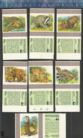 WWF CASTOR TURTLE LYNX BLAIREAU OTTER GRAND DUC OEHOE FAUCON OISEAUX STORK MARTRE GENETTE ETC. MATCHBOX SKILLETS FRANCE - Zündholzschachteletiketten