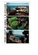 Cpm - Monaco > Jardin Exotique - Souvenir - Cactus - - Exotische Tuin