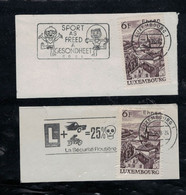 2 FRAGMENTS FLAMMES  DIFFERENTES  SUR VALEURS LUXEMBOURG ( Lot361 ) - Franking Machines (EMA)