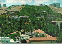 Las Palmas (Gran Canaria, Espana) Vista Parcial, Scorcio Panoramico, Panoramic View, Vue Panoramique, Ansicht - La Palma