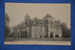 Ecaussinnes 1900: Le Château De La Folie. Rare - Ecaussinnes