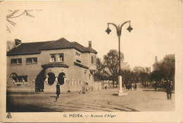 Pays Div -ref CC461- Algerie - Medea - Avenue D Alger - - Medea