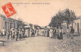 Algérie - MONTGOLFIER (Rahouïa) - Boulevard De La Savoie - Dépôt De La Minoterie J. Bigorre, Tiaret - Sonstige & Ohne Zuordnung