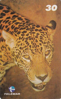 BRAZIL(Telemar) - Panther, 03/01, Used - Giungla