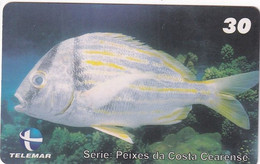 BRAZIL(Telemar) - Fish, 05/00, Used - Pesci
