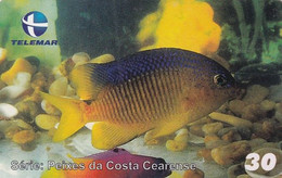 BRAZIL(Telemar) - Fish, 04/00, Used - Pesci