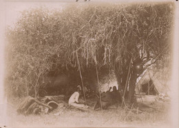Kenya - Rare Photo Ancienne Albuminée - Village Tribu Ethnie SAMBURU Samburos - Rivière Nyro - Ethnique - Kenya