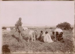 Kenya - Rare Photo Ancienne Albuminée - Steppe De BARTA Tribu Ethnie SAMBURU Samburos - éléphanteau éléphant - Ethnique - Kenya