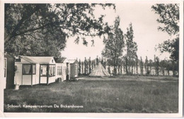 Schoorl, Kampeercentrum De Bickershoeve, Bickerslaan - Schoorl