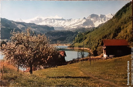 Fruhling Am Lungernsee - Lungern