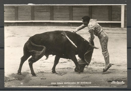 Carte P ( Toros / Fiesta Nacional ) - Taureaux