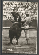 Carte P ( Toros / Fiesta Nacional ) - Taureaux