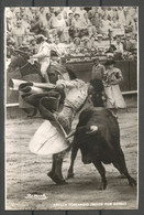 Carte P ( Toros / Fiesta Nacional ) - Taureaux