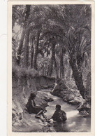 Algérie - L'Oasis (Enfants) - 1947 - Niños