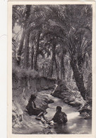 Algérie - L'Oasis (Enfants) - 1947 - Children