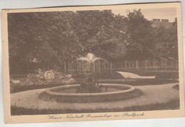 C3926) WIENER NEUSTADT - Rosenanlage Im Stadtpark ALT 1911 - Wiener Neustadt