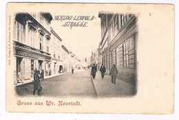 A-5709  WIENER NEUSTADT : Herzog-Leopold-Strasse - Wiener Neustadt