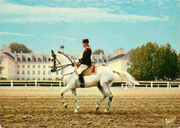 Animaux - Chevaux - Saumur - Ecole Nationale D'Equitation Le Cadre Noire - Piaffer - Horses - Pferde - CPM - Voir Scans - Cavalli
