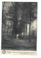 Kemmel - Avenue Du Mont Prolongée Jusqu'au Belvédère 1921 - Heuvelland