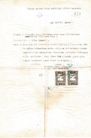 Turkey & Ottoman Empire - Turkish Air Agency Aid Stamp & Rare Document With Stamps - 137 - Brieven En Documenten