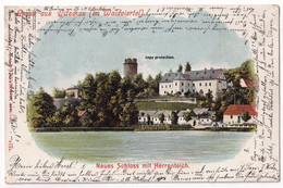 Gruss Aus Litschau Im Waldviertel, Neues Schloss Mit Herrenteich, Alte Ansichtskarte 1903, Nieder-Österreich - Gmünd