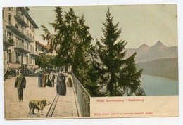 ( Suisse) Grand Hôtel Sonnenberg  Seelisberg - Seelisberg