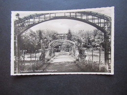 Bezirk Posen 1936 Foto AK Schneidemühl Stadtpark, Rosengarten Kunstverlag Bruno Scholz Breslau - Posen