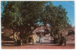 JAMAICA 1959 Airmail To Balboa Canal Zone, Fort Charles Novelty Trading Postcard 13098-B (CZ8) - Canal Zone