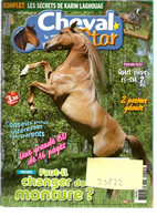 Revue Cheval Star 204 Sept. 2008 - Horse équitation M. Ismalun K. Laghouag Beaucoup De Sujets Et De Photos ... Rare ... - Animaux