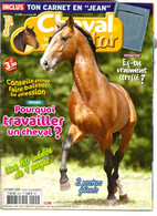 Revue Cheval Star 205 Oct. 2008 - Horse équitation J.O. Hong Kong Percheron Beaucoup De Sujets Et De Photos ... Rare ... - Animaux