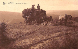 Le Hérou - La Rentrée Des Foins (animée Attelage Chevaux Nels) - Houffalize