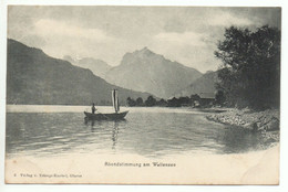 WEESEN Abendstimmung Am Walensee Verlag V. Trümpi-Knobel Glarus - Weesen