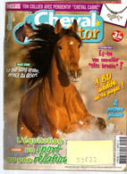 Revue Cheval Star 221 02/2010 - Horse équitation Pur-sang Arabe Ethologue BD Beaucoup De Sujets & Photos ... Rare ... - Animaux
