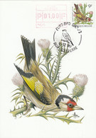 MC1530 - Chardonneret / Putter (Carduelis Carduelis) - 1985-.. Vogels (Buzin)