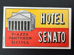 Ancienne Etiquette D'Hôtel HOTEL SENATO ROMA ITALIA ITALIE - Etiquettes D'hotels