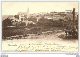 FLORENVILLE ..-- Panorama . Charrette . 1901 Vers BRUXELLES ( Melle Valentine HUYGHE ) . Voir Verso . - Florenville