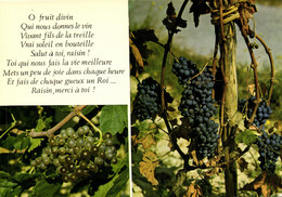 O FRUIT DIVIN QUI NOUS DONNE LE VIN , SALUT A TOI RAISIN ! METS UN PEU DE JOIE DANS CHAQUE HEURE .... - Philosophie & Pensées